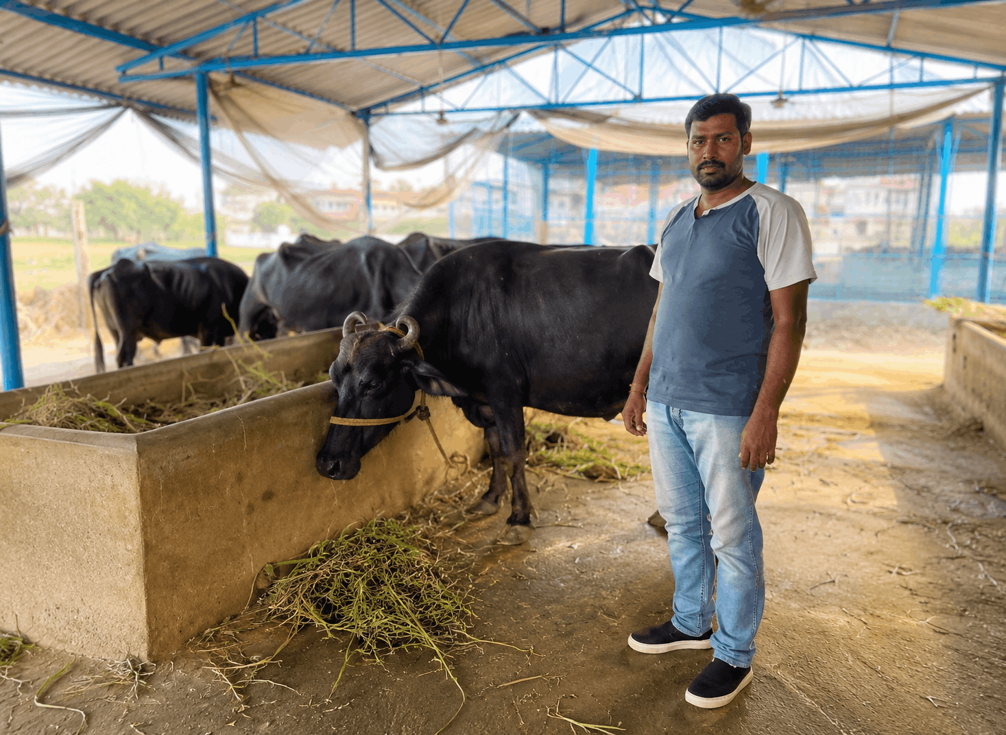 Rajesh