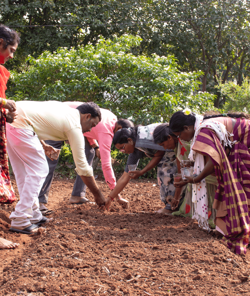 From Soil to Sustenance